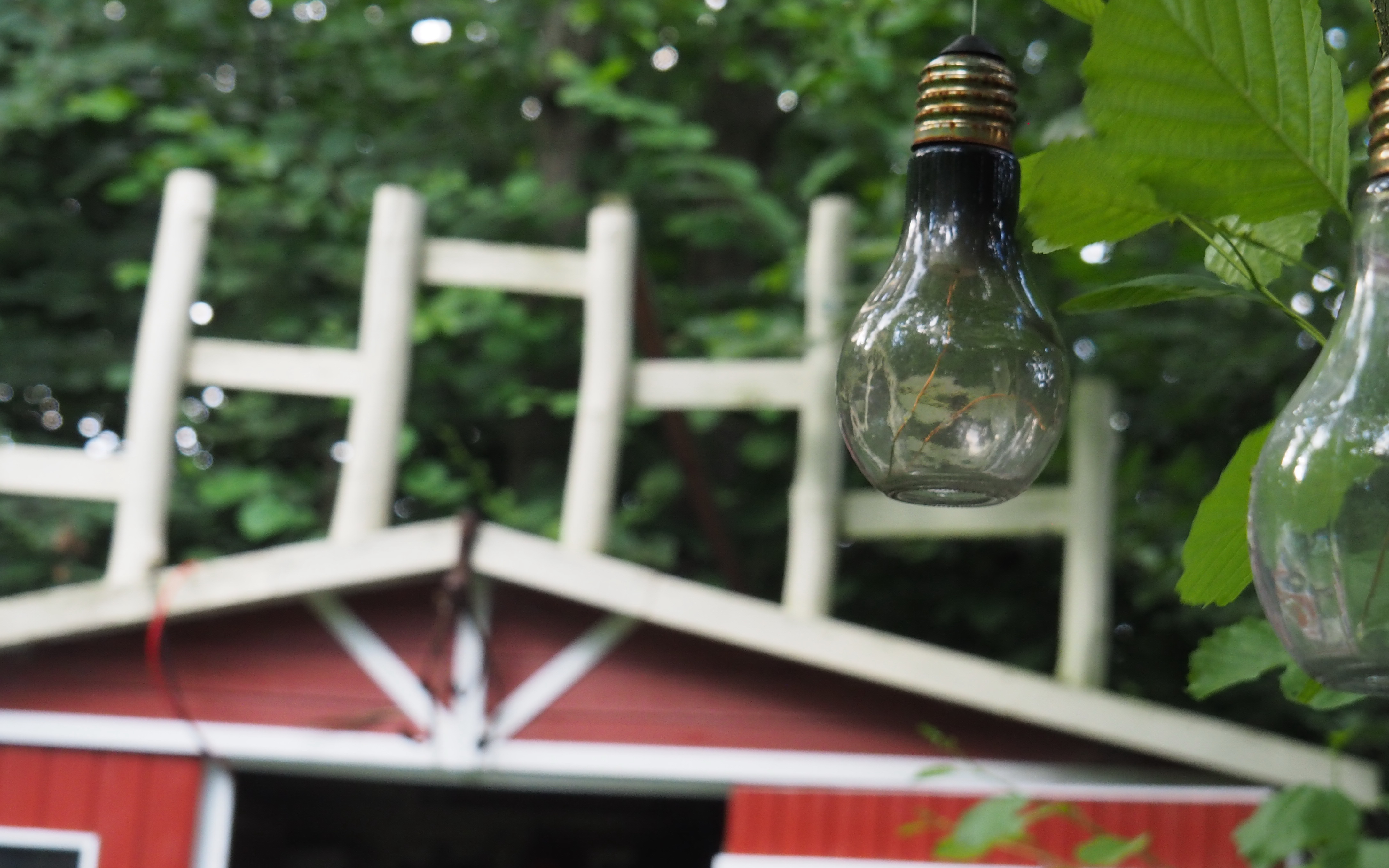 Blog